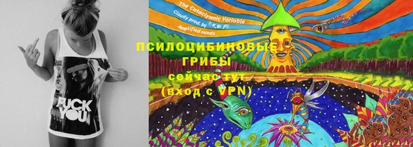 мескалин Осинники